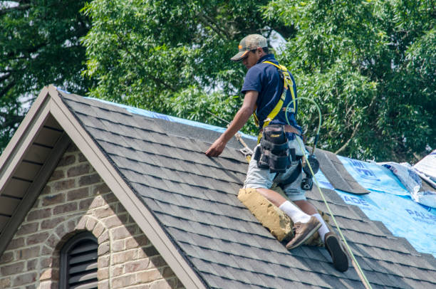 Trusted Wyboo, SC Roofing Contractor Experts